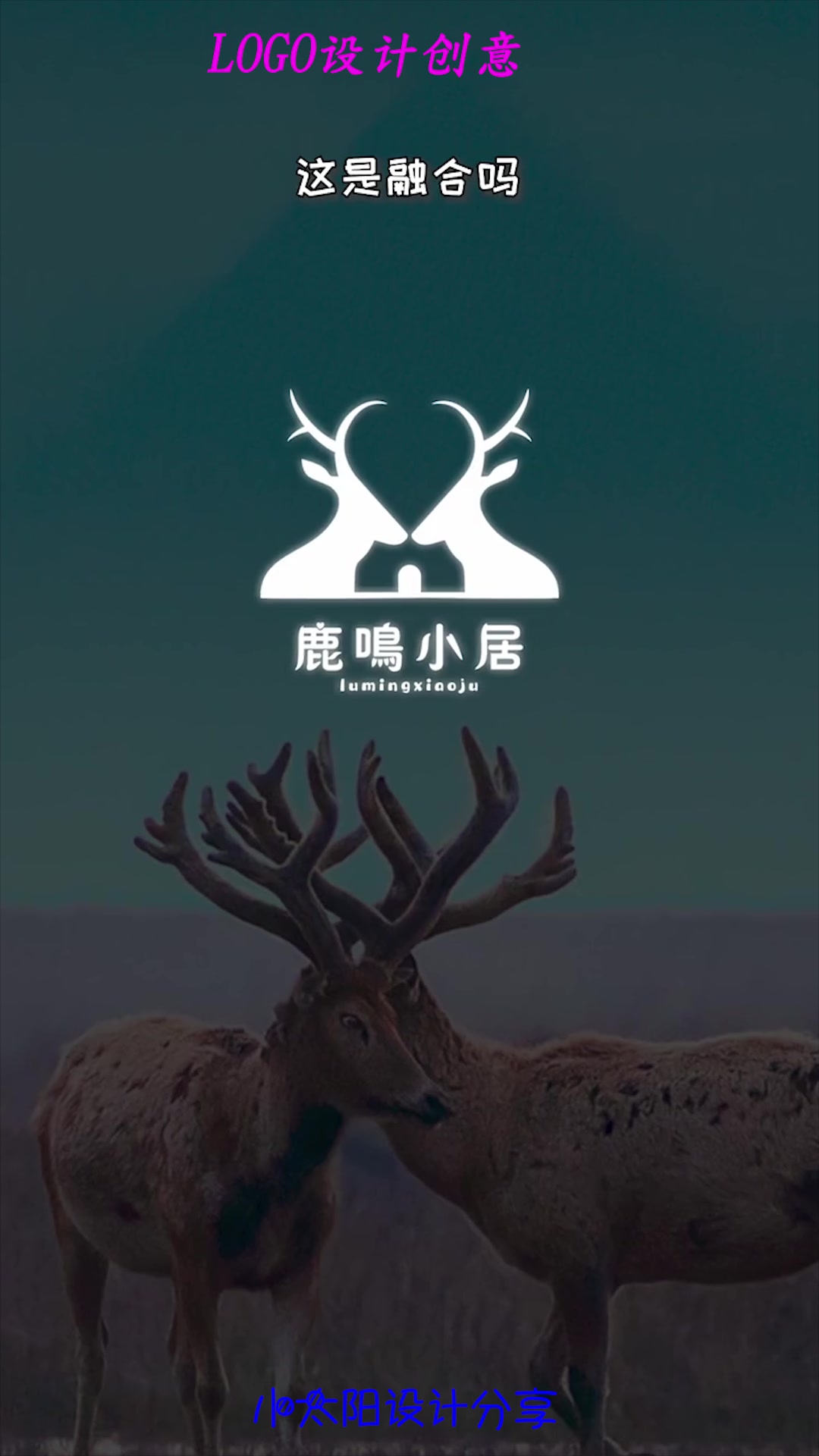 小清新日式民宿logo设计,第一眼没看出所以然,细品之后绝了!