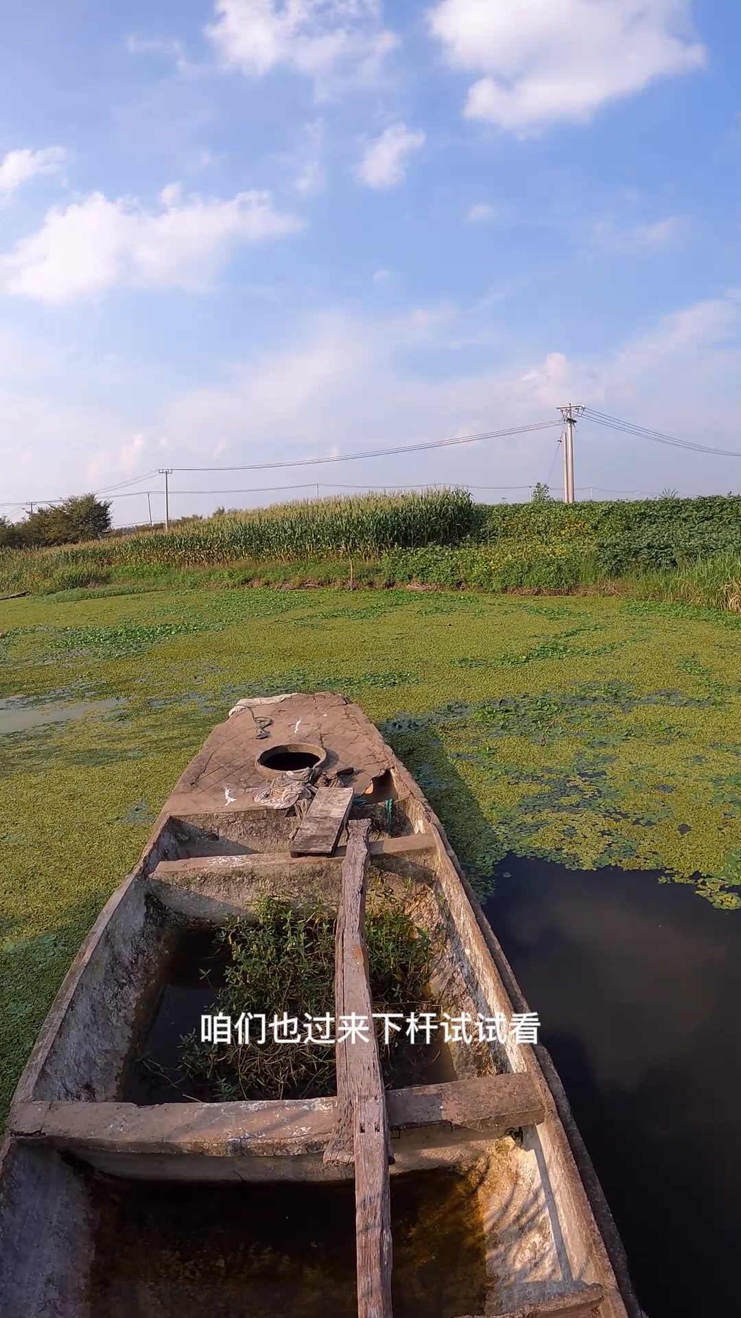 有老人钓鱼的小河,鱼情果然有些暴躁,半小时钓了一大盆