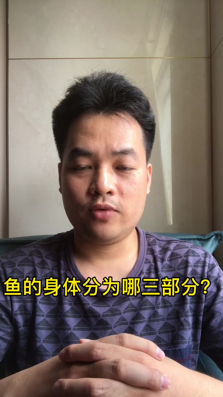 鱼的身体分为哪三部分?