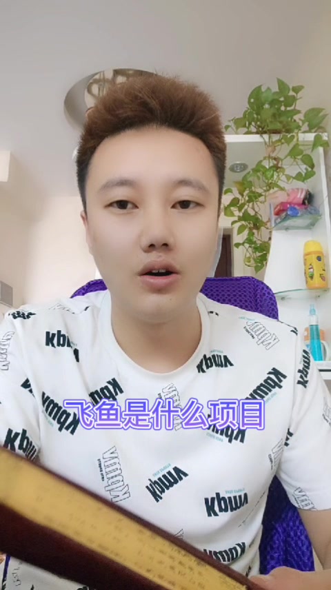 飞鱼是什么项目  