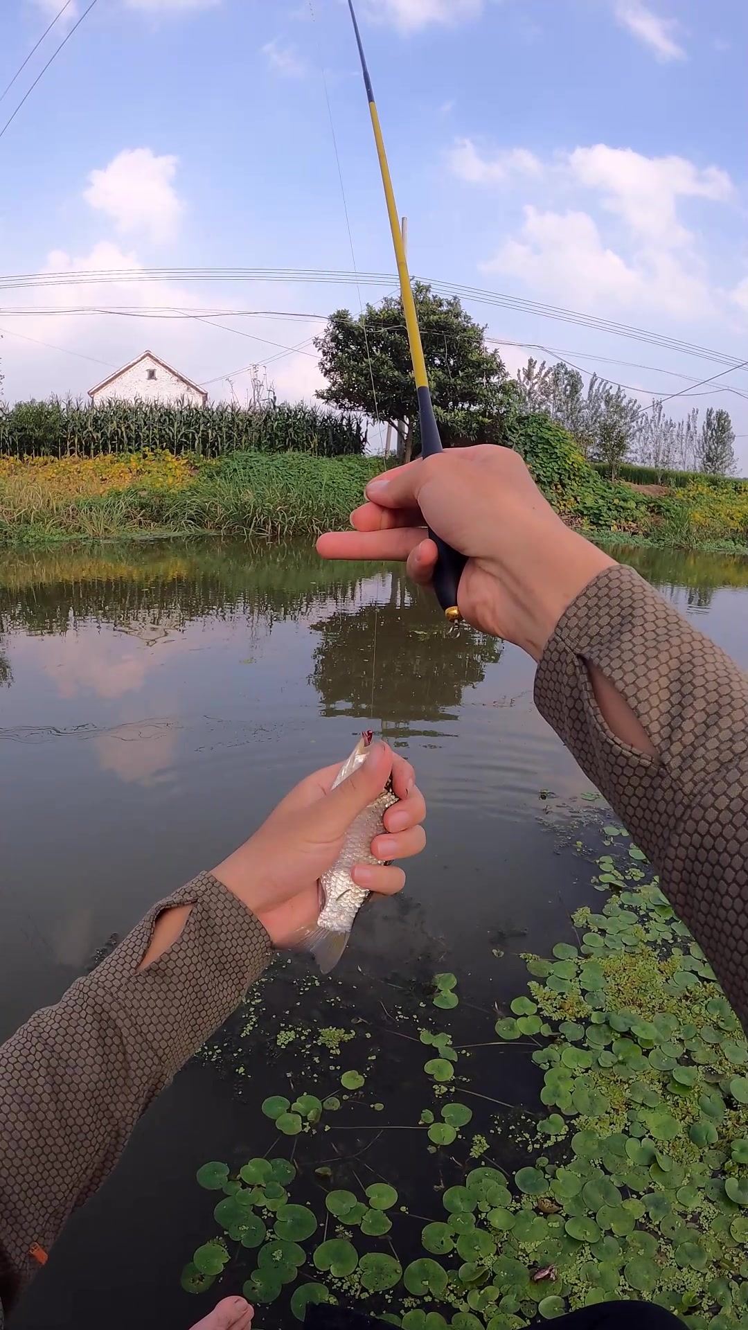江苏常见的小野河,一走水鱼就靠边,钓一篮子送给老奶奶