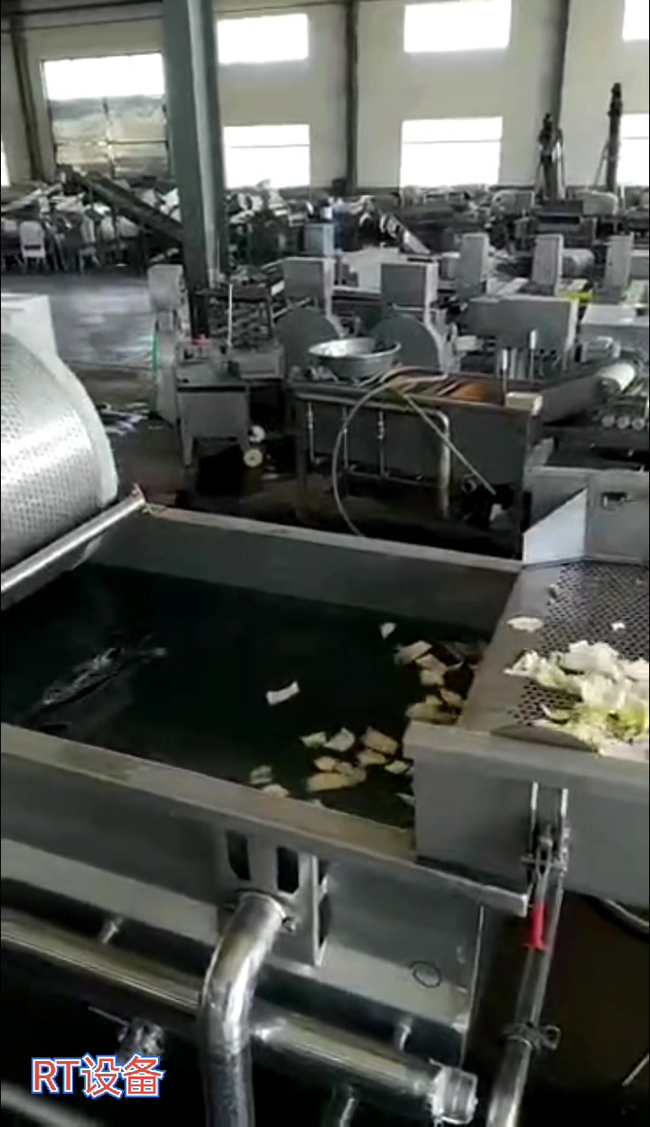 中央厨房净菜清洗加工设备,净菜清洗机器
