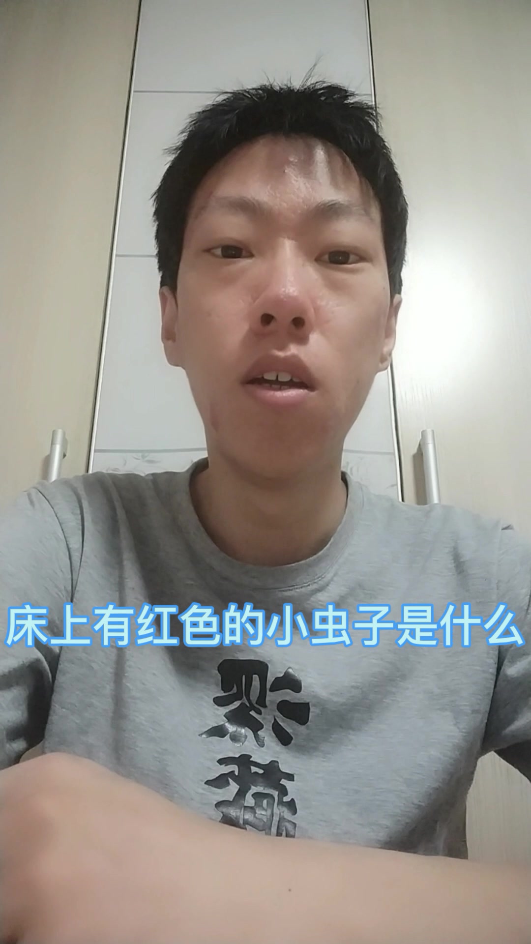 床上有红色的小虫子是什么