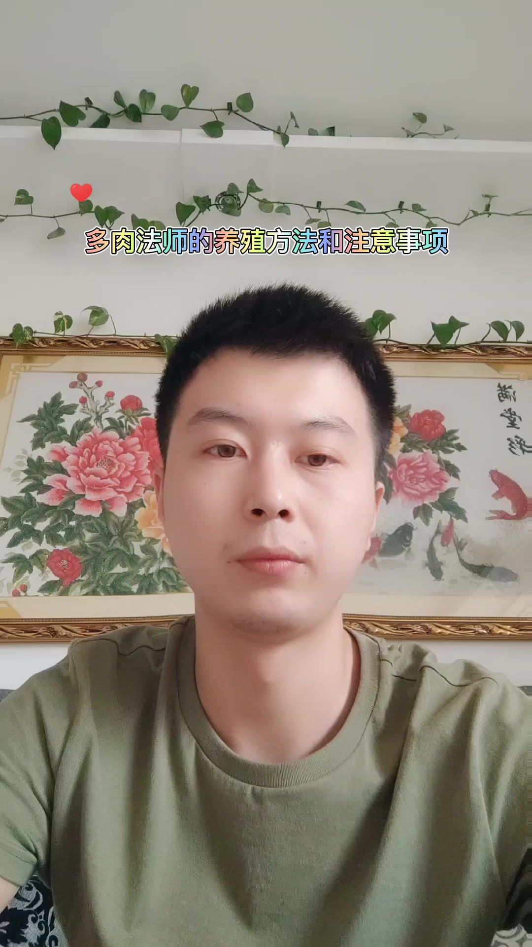 多肉法师的养殖方法和注意事项