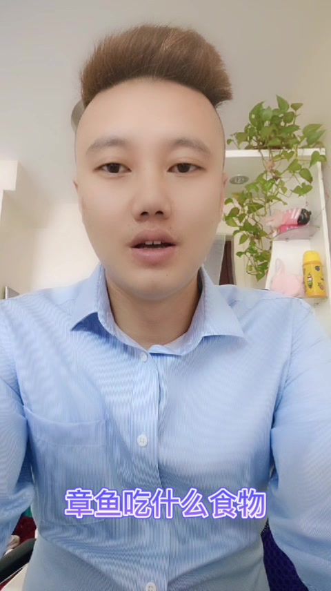 章鱼吃什么食物   