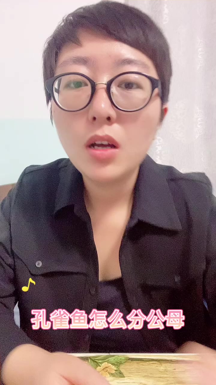 孔雀鱼怎么分公母