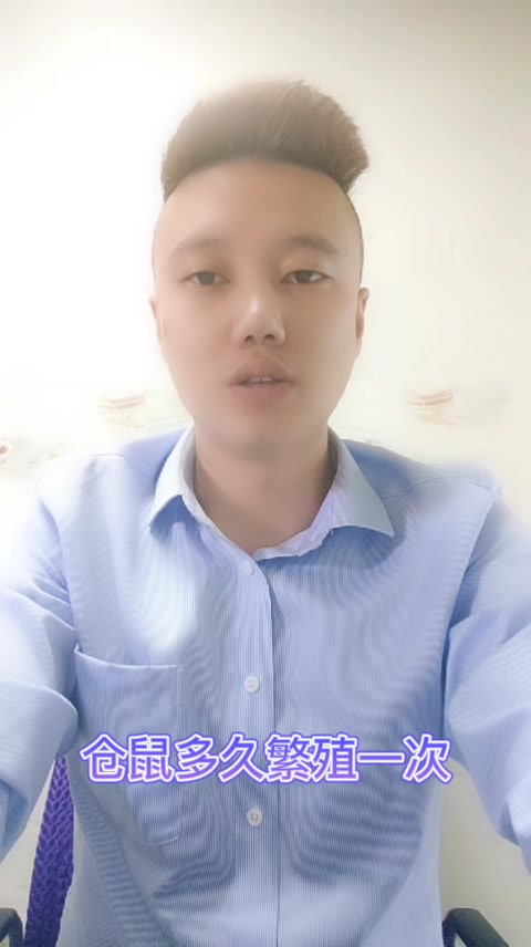 仓鼠多久繁殖一次