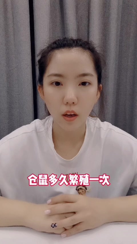 仓鼠多久繁殖一次