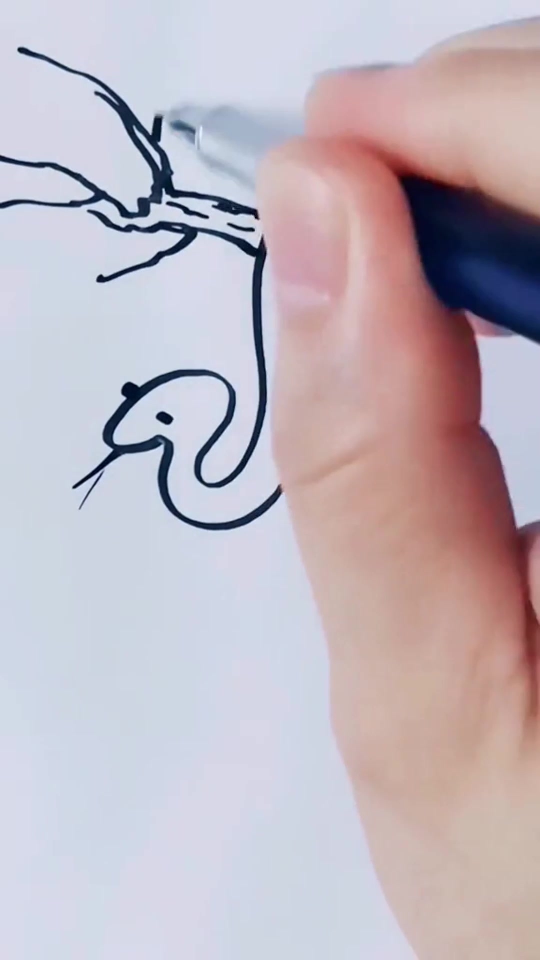 属相“蛇”十二生肖之一,排名第六