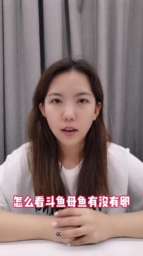 怎么看斗鱼母鱼有没有卵