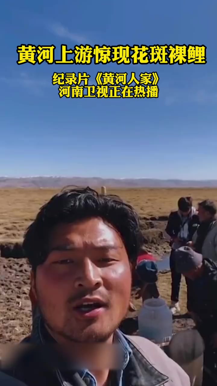 黄河上游惊现花斑裸鲤!它们生长过程缓慢,曾被《中国物种红色名录》列为重点保护的物种,是黄河