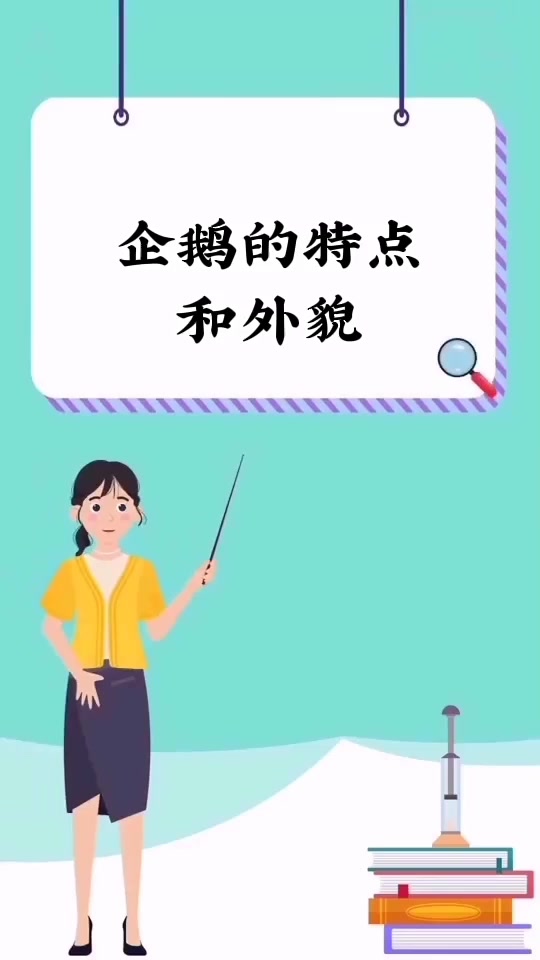 企鹅的特点和外貌   