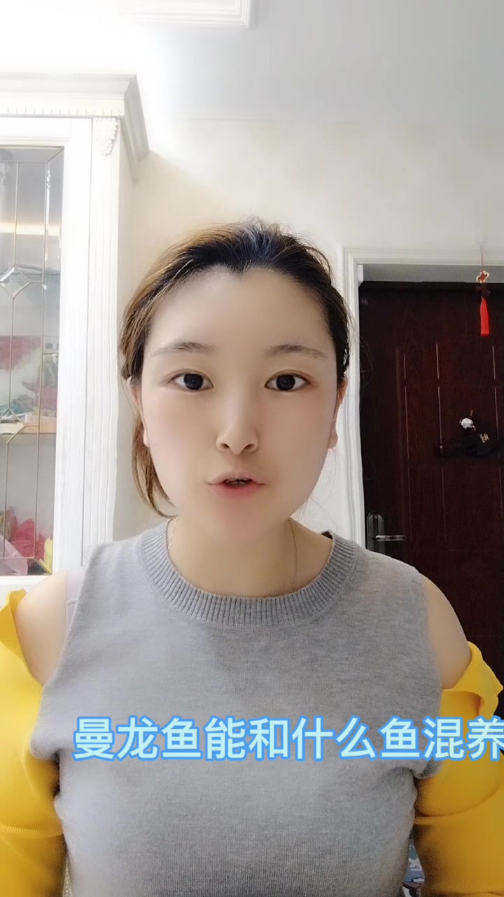 曼龙鱼和什么鱼能混养 