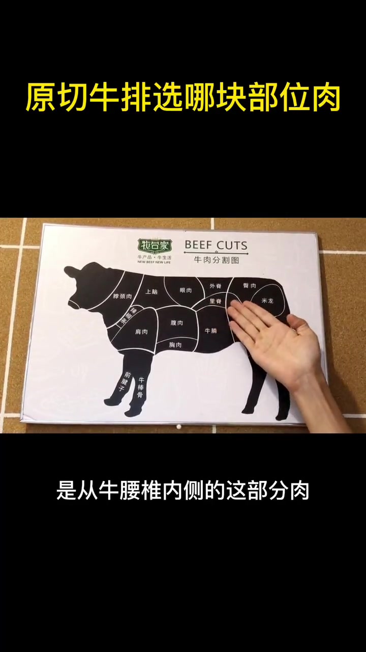 做牛排用什么部位的牛肉?