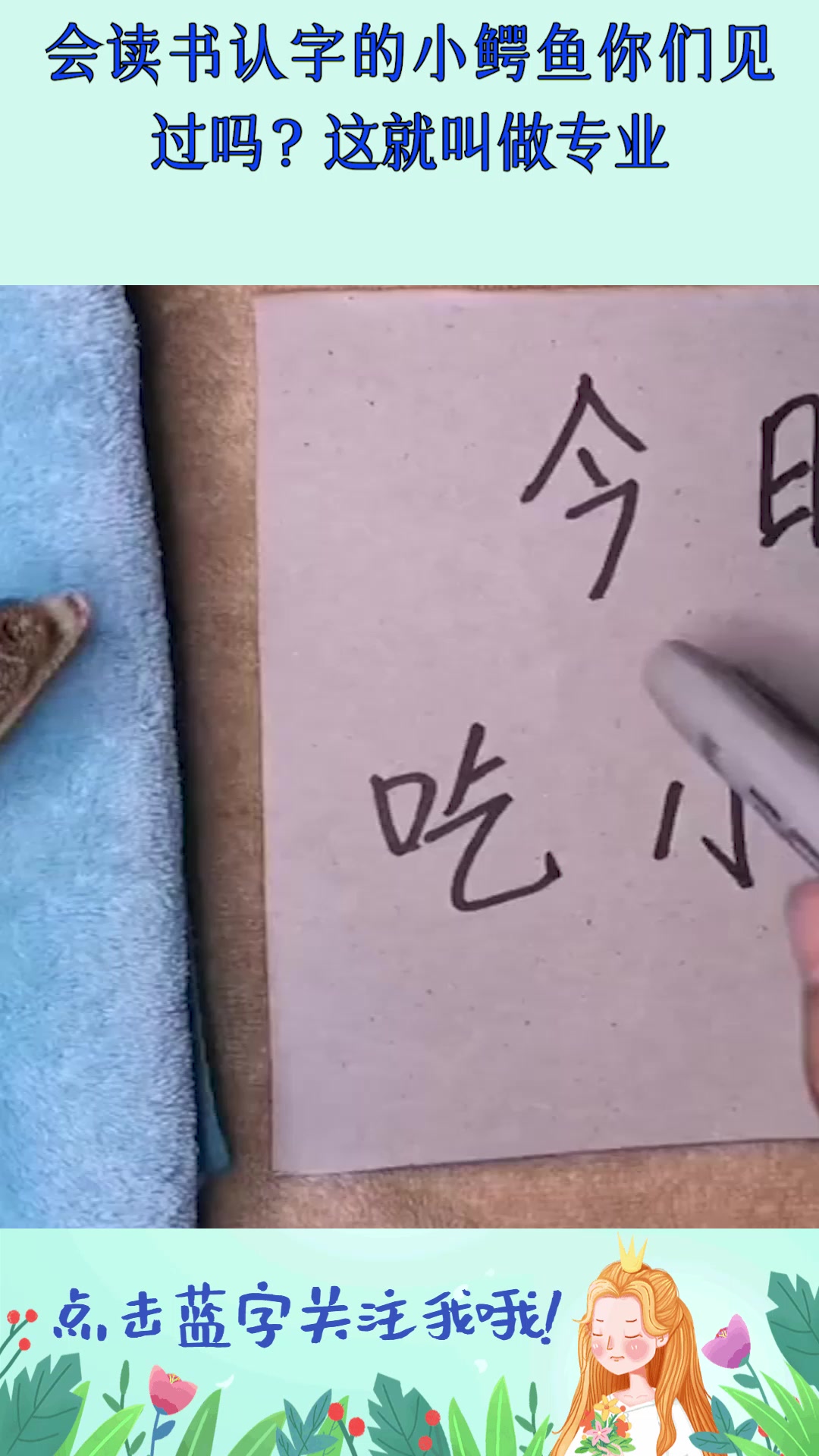 会读书认字的小鳄鱼你们见过吗?这就叫做专业