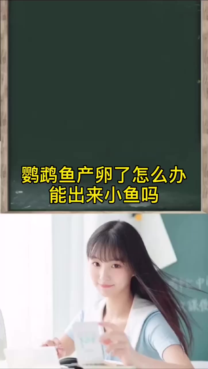 鹦鹉鱼产卵了怎么办能出来小鱼吗
