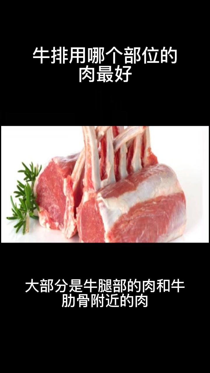 牛排用哪个部位的肉最好