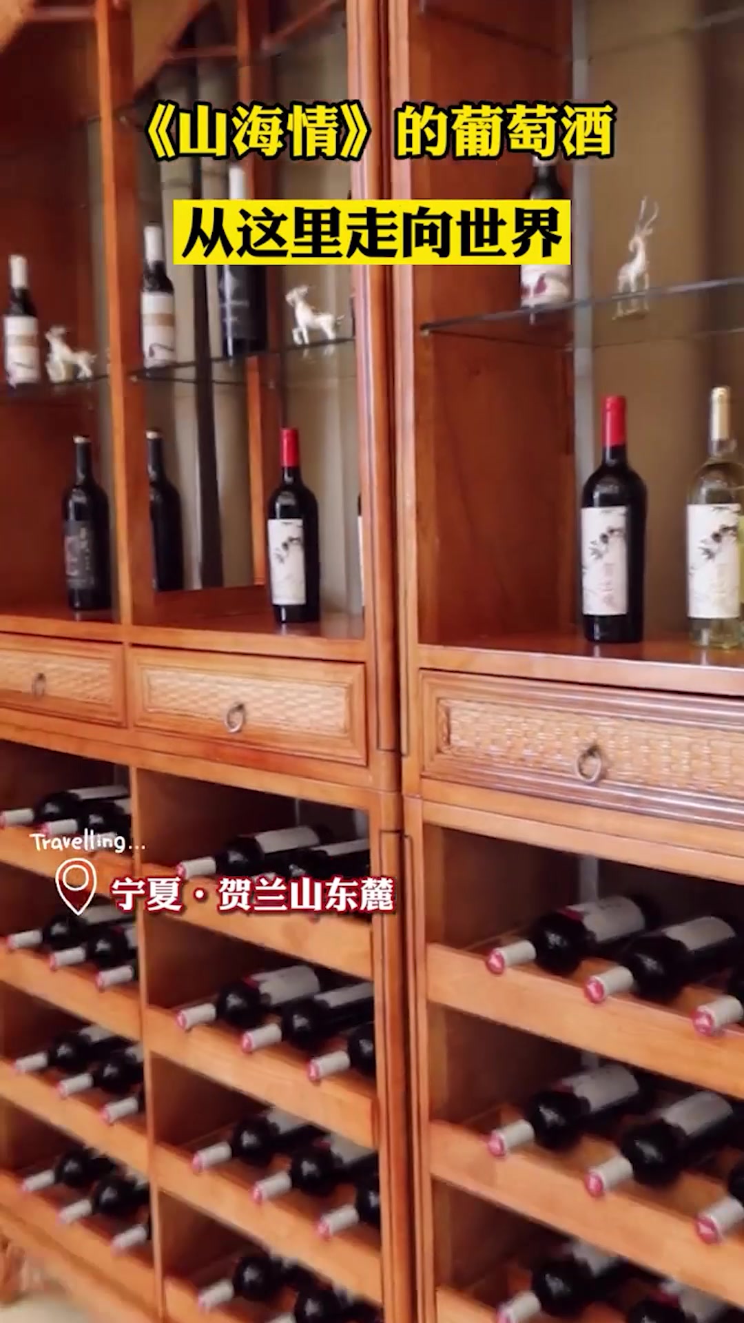 《山海情》的葡萄酒,从这里走向世界!