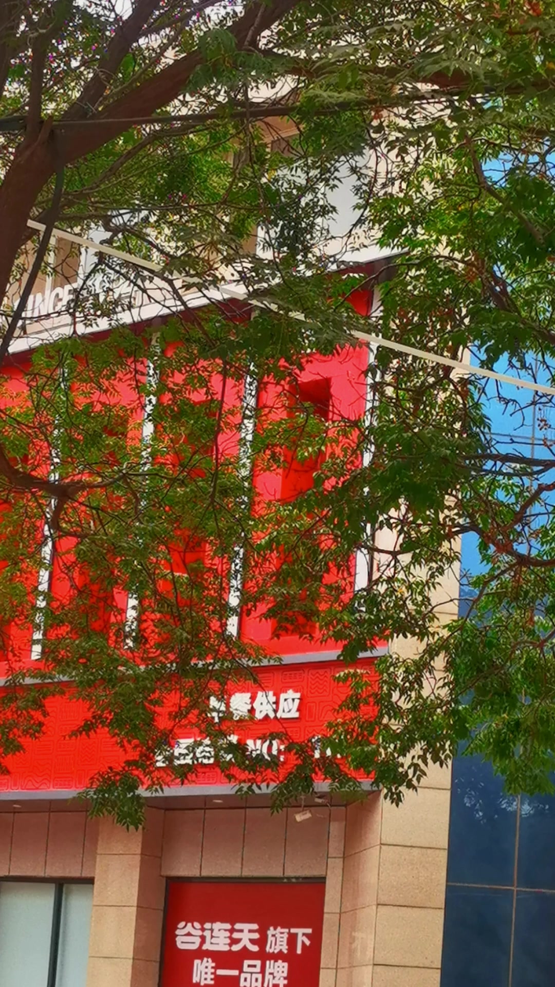 谷养元八宝粥做法啊_谷养元八宝粥给你温暖