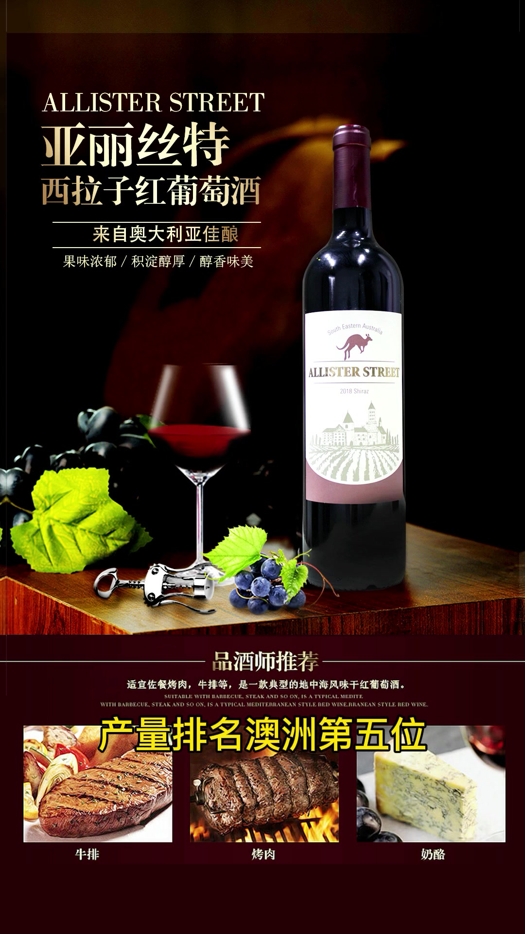亚丽斯特西拉子红葡萄酒原装进口红酒葡萄酒
