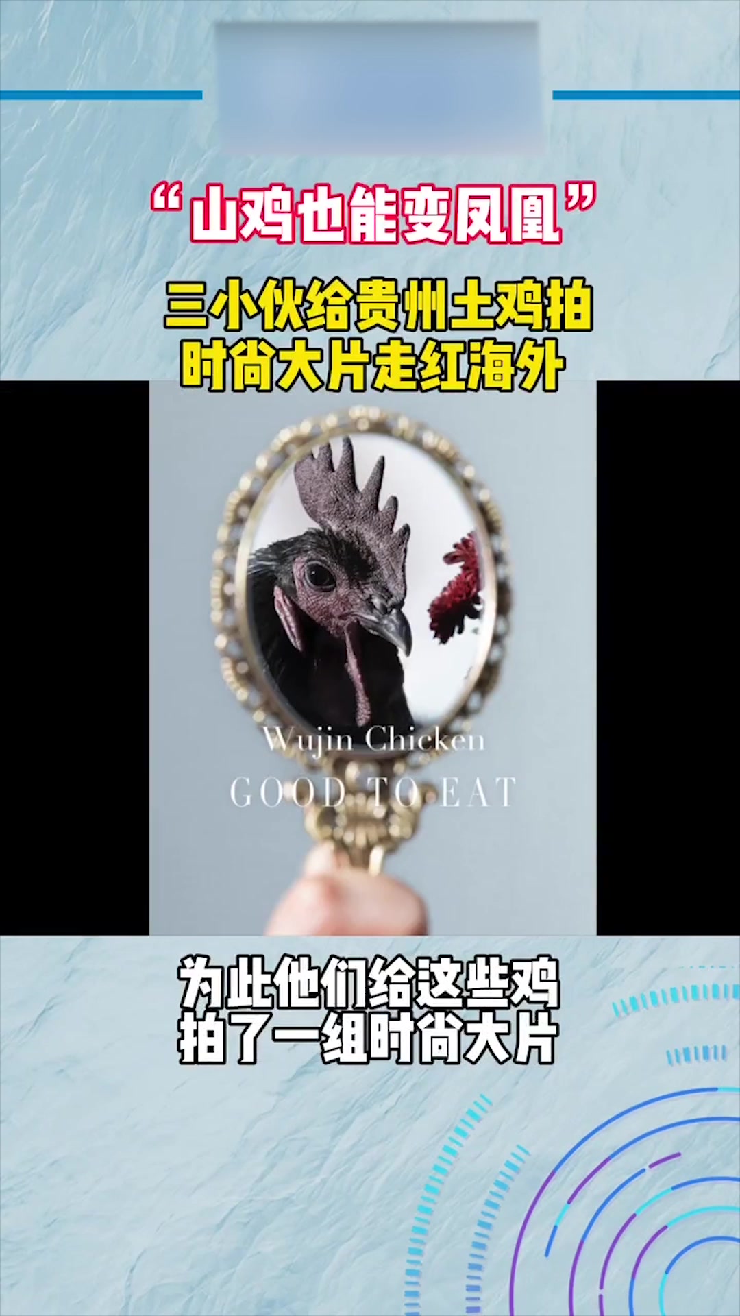 贵州土鸡成南极第一网红,三小伙给土鸡拍时尚大片,走红海外!