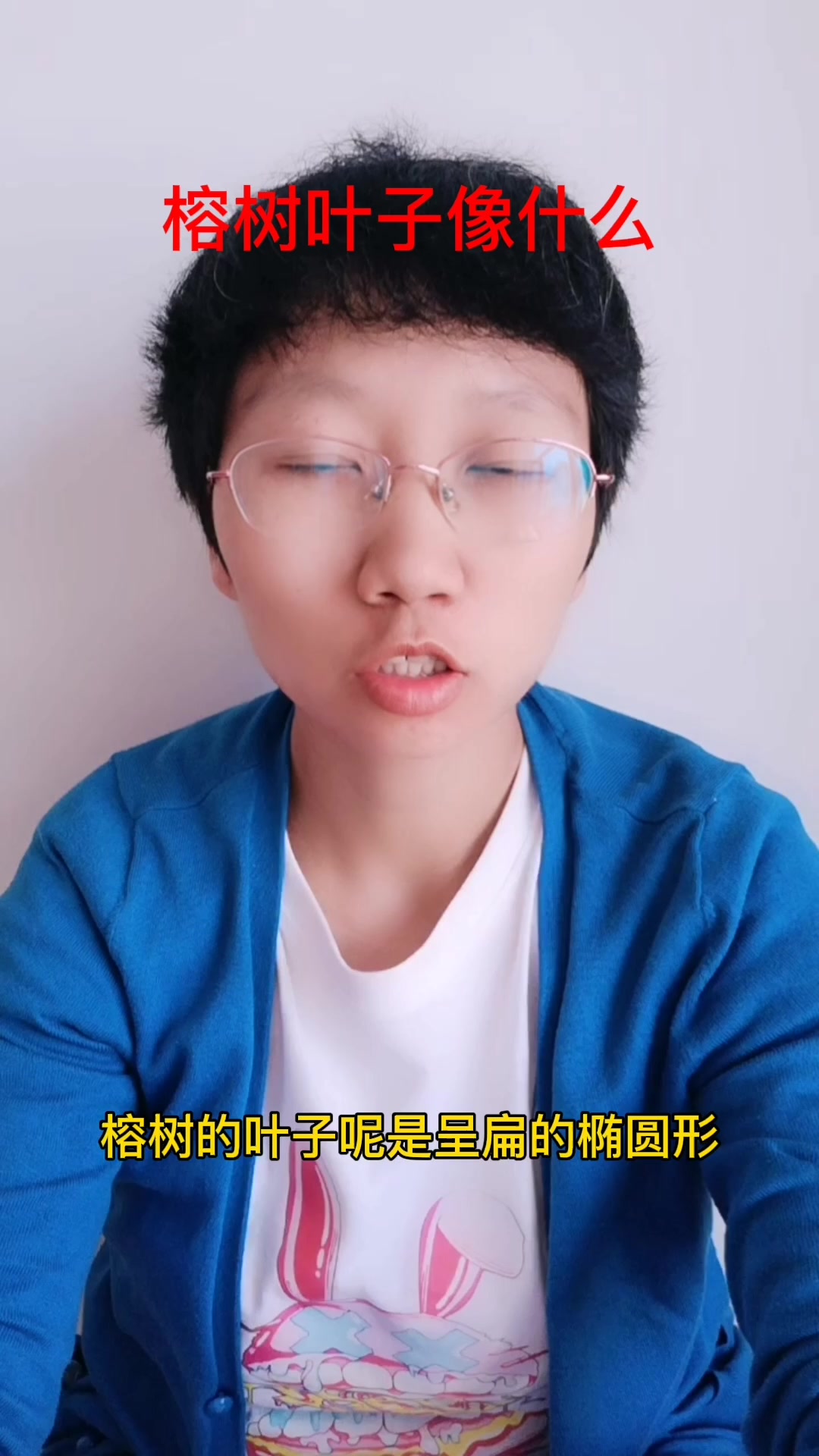榕树的叶子像什么