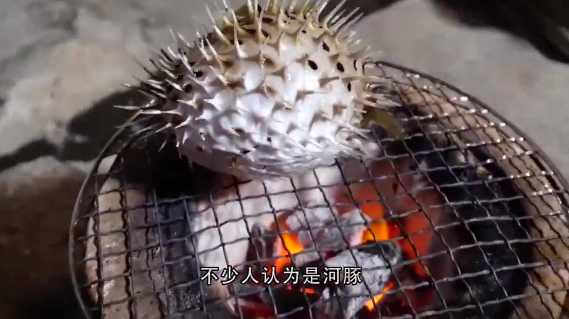 踩到世上最毒的鱼究竟有多危险?老外用泡沫做测试,看完一阵后怕  