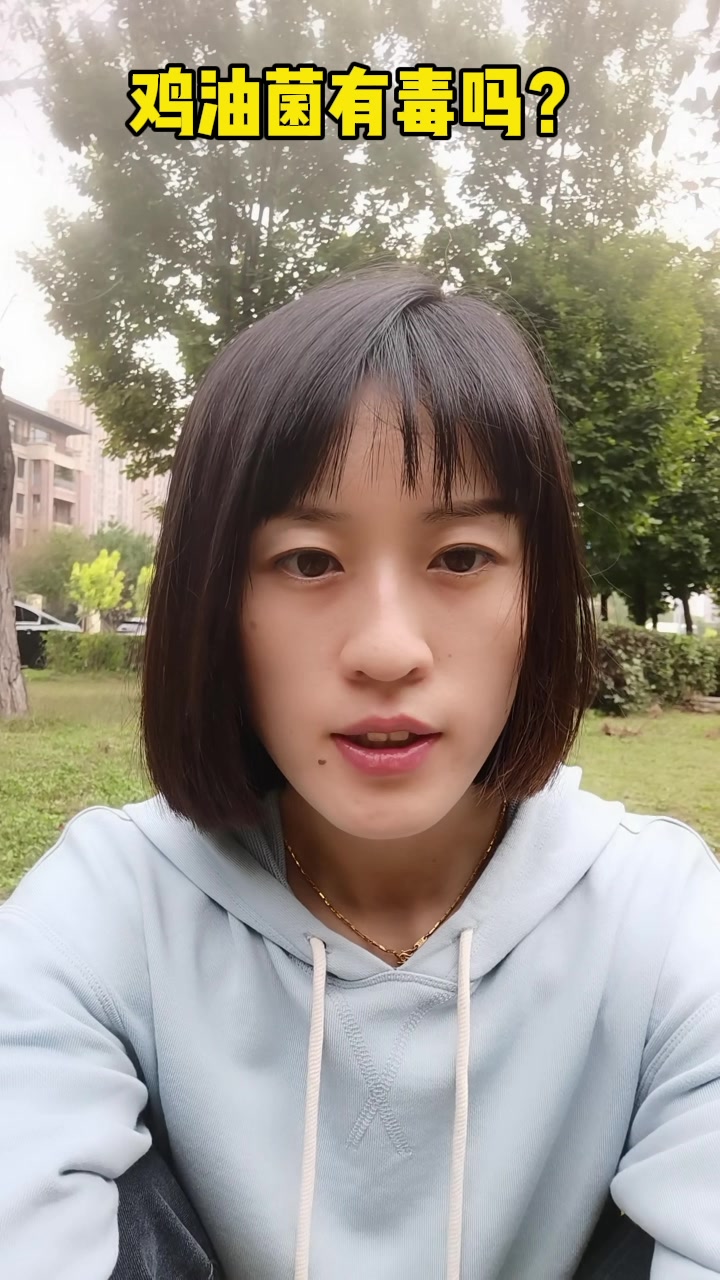 鸡油菌有毒吗?你知道吗?