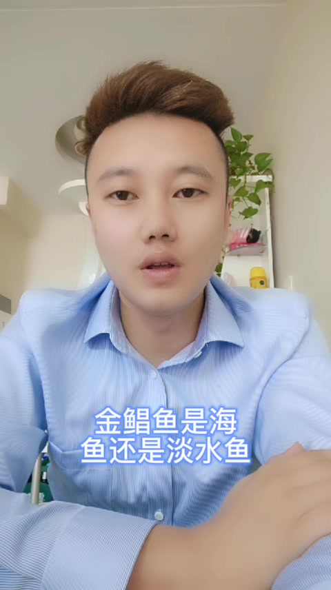 金鲳鱼是海鱼还是淡水鱼