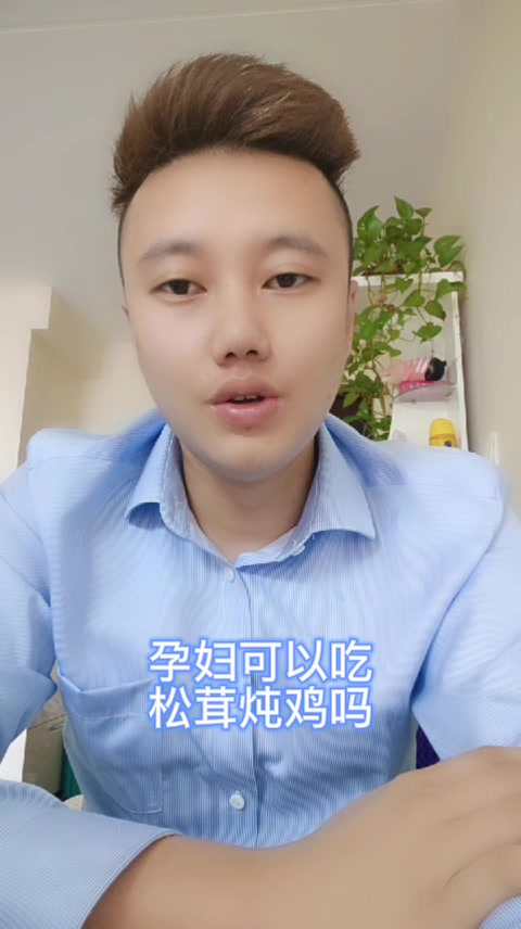 孕妇可以吃松茸炖鸡吗