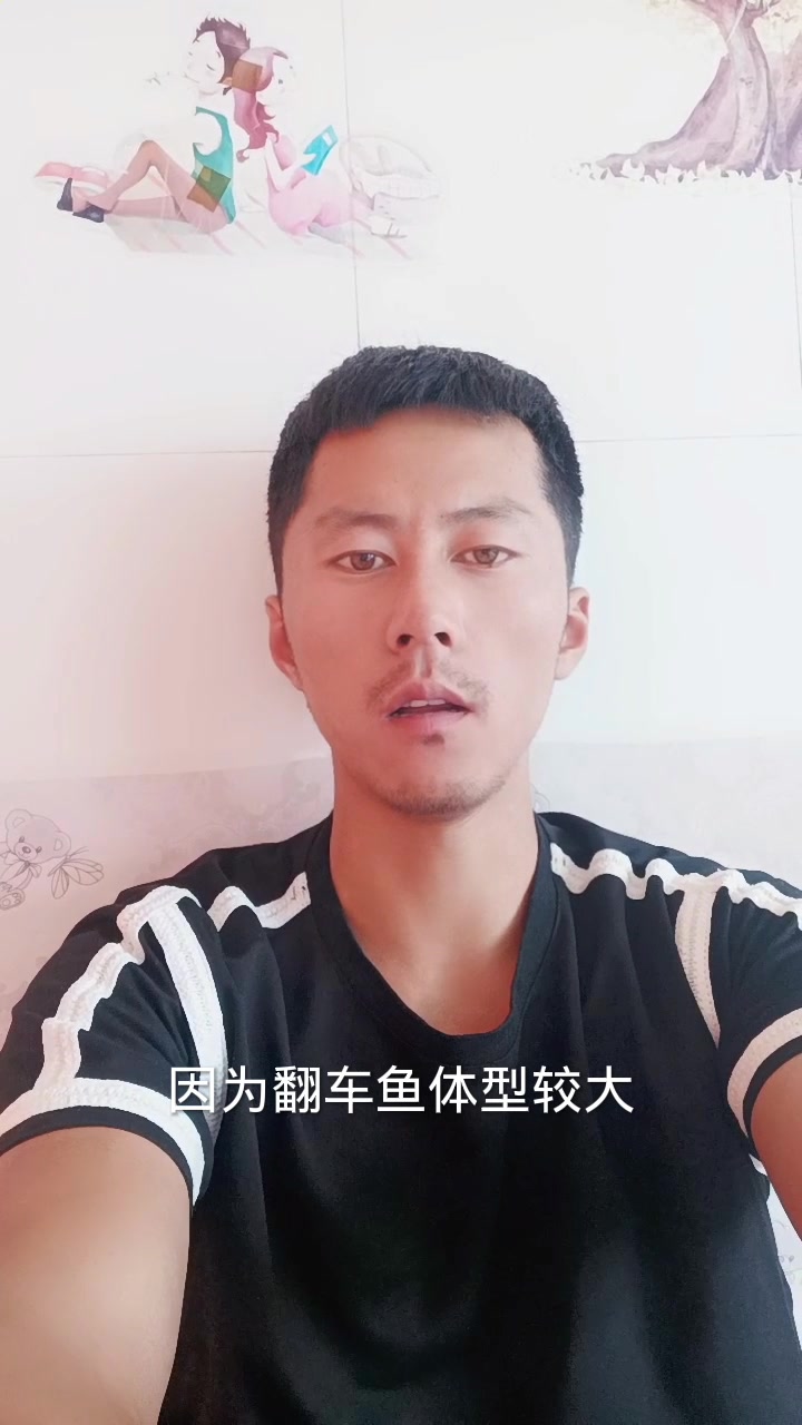 渔民为什么怕翻车鱼