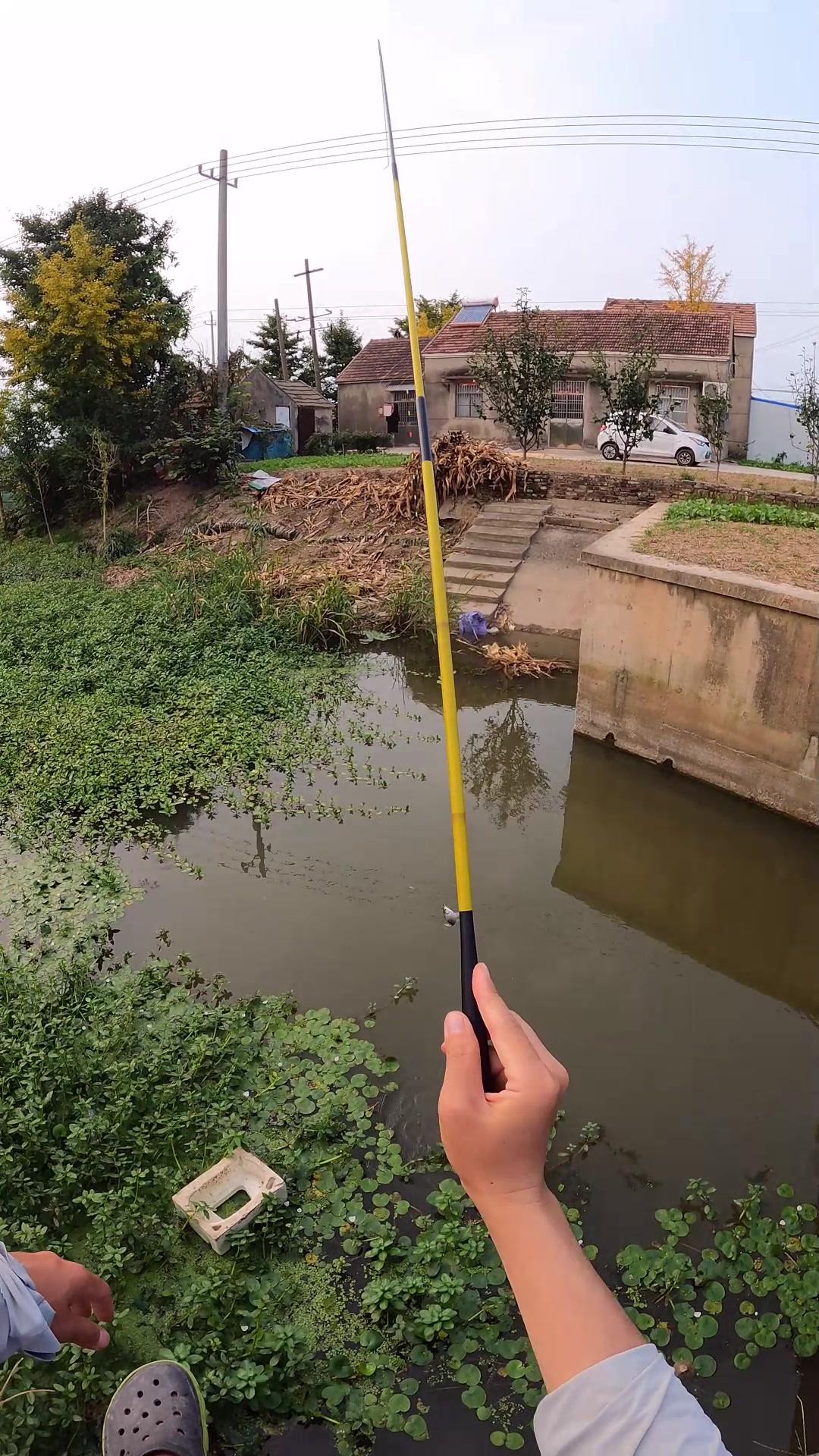 不起眼的小河闸口,鲫鱼都藏在水草下,下竿就是顶漂,真过瘾