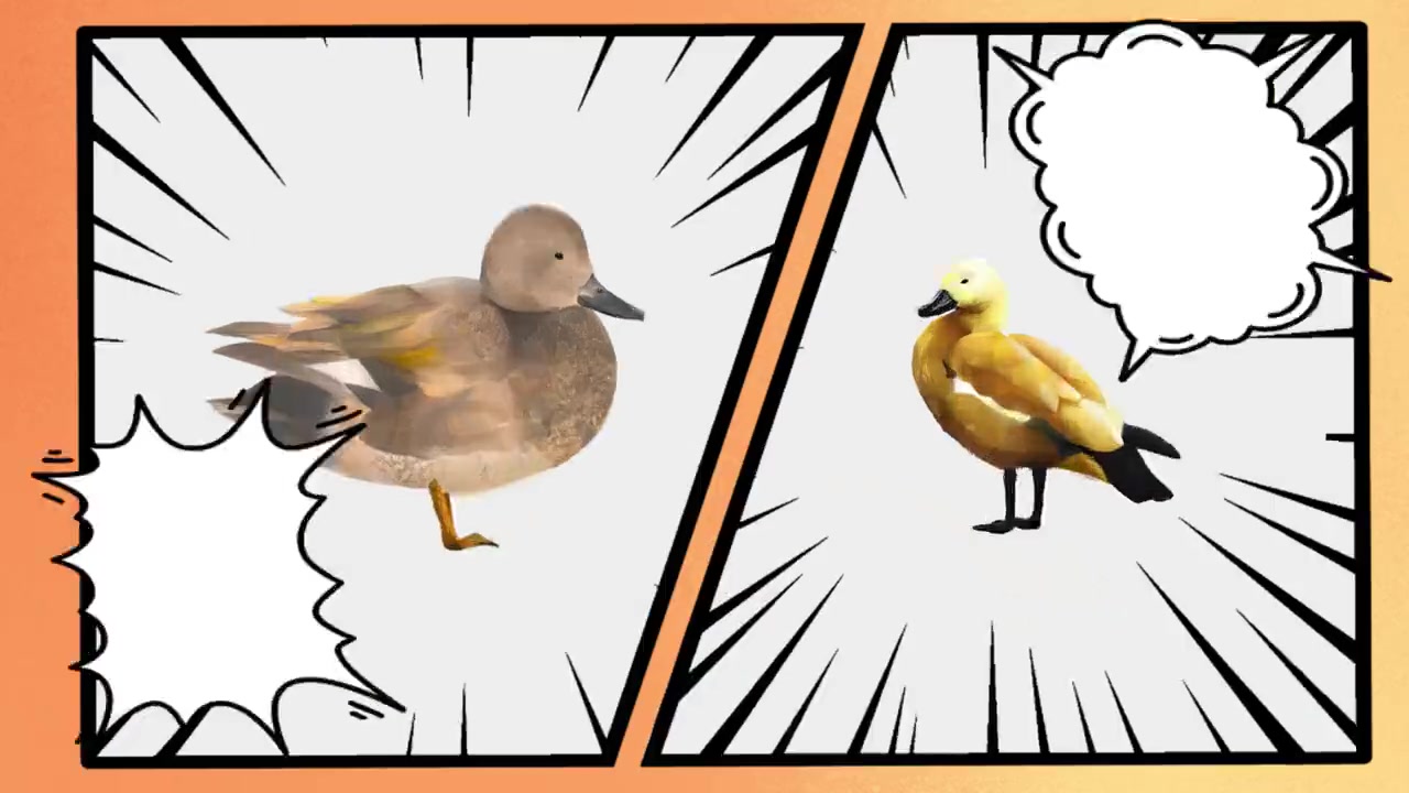 【中秋COP15喜相逢,滇池里鱼鸟自来话】今天是中秋佳节,也是COP15倒计时20天。小掌