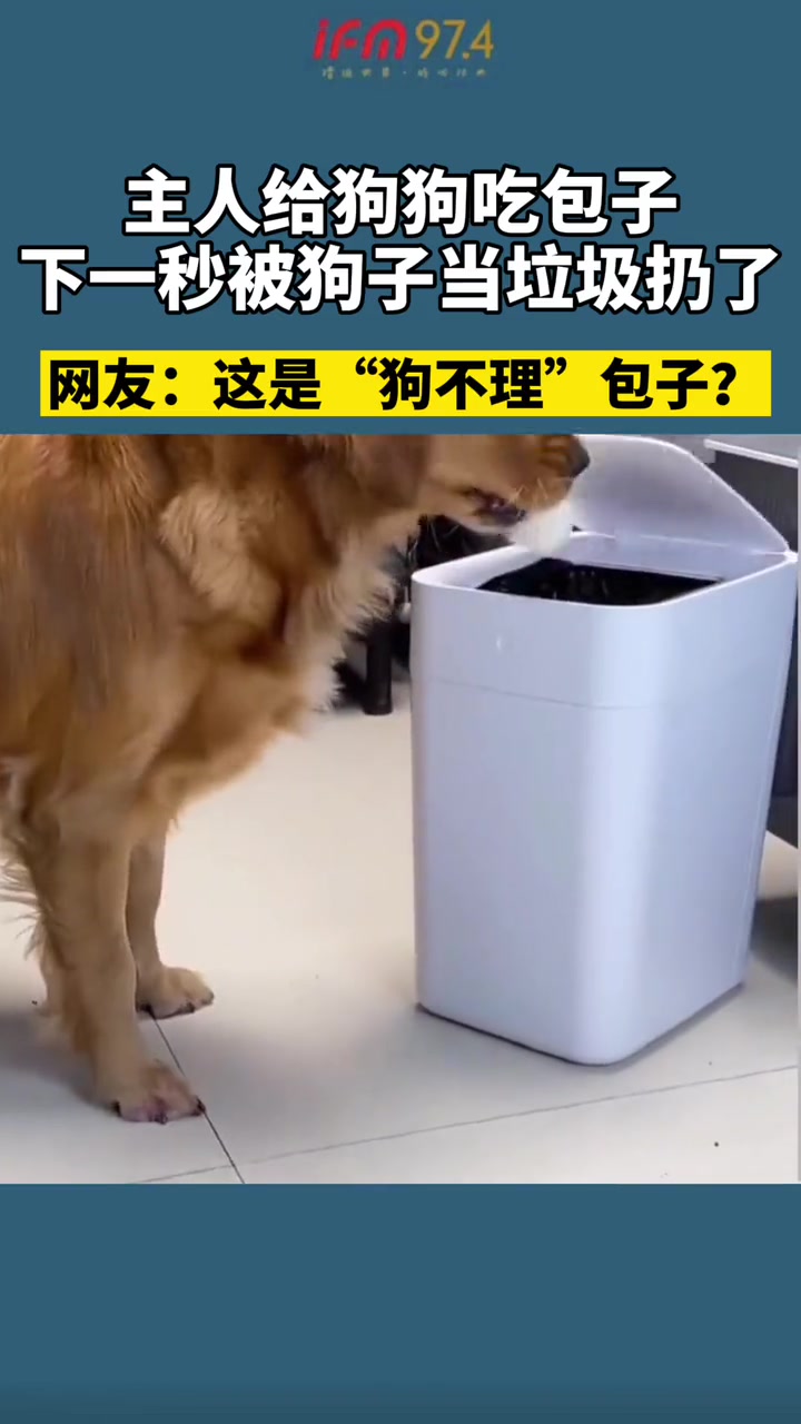 主人给狗子吃包子,下一秒被狗子当垃圾扔了,网友:这是“狗不理”包子