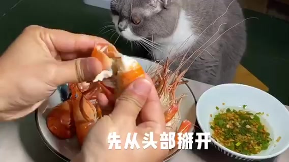 罗氏虾煮多久。 