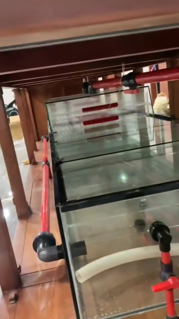 底部过滤观赏鱼缸,两米玻璃鱼缸定做价格,办公室实木鱼缸设计