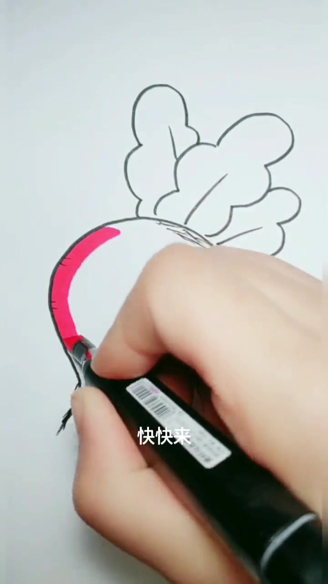幼儿园简笔画拔萝卜