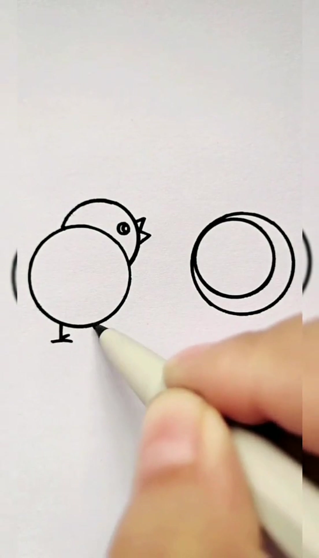 幼儿园简笔画小鸡