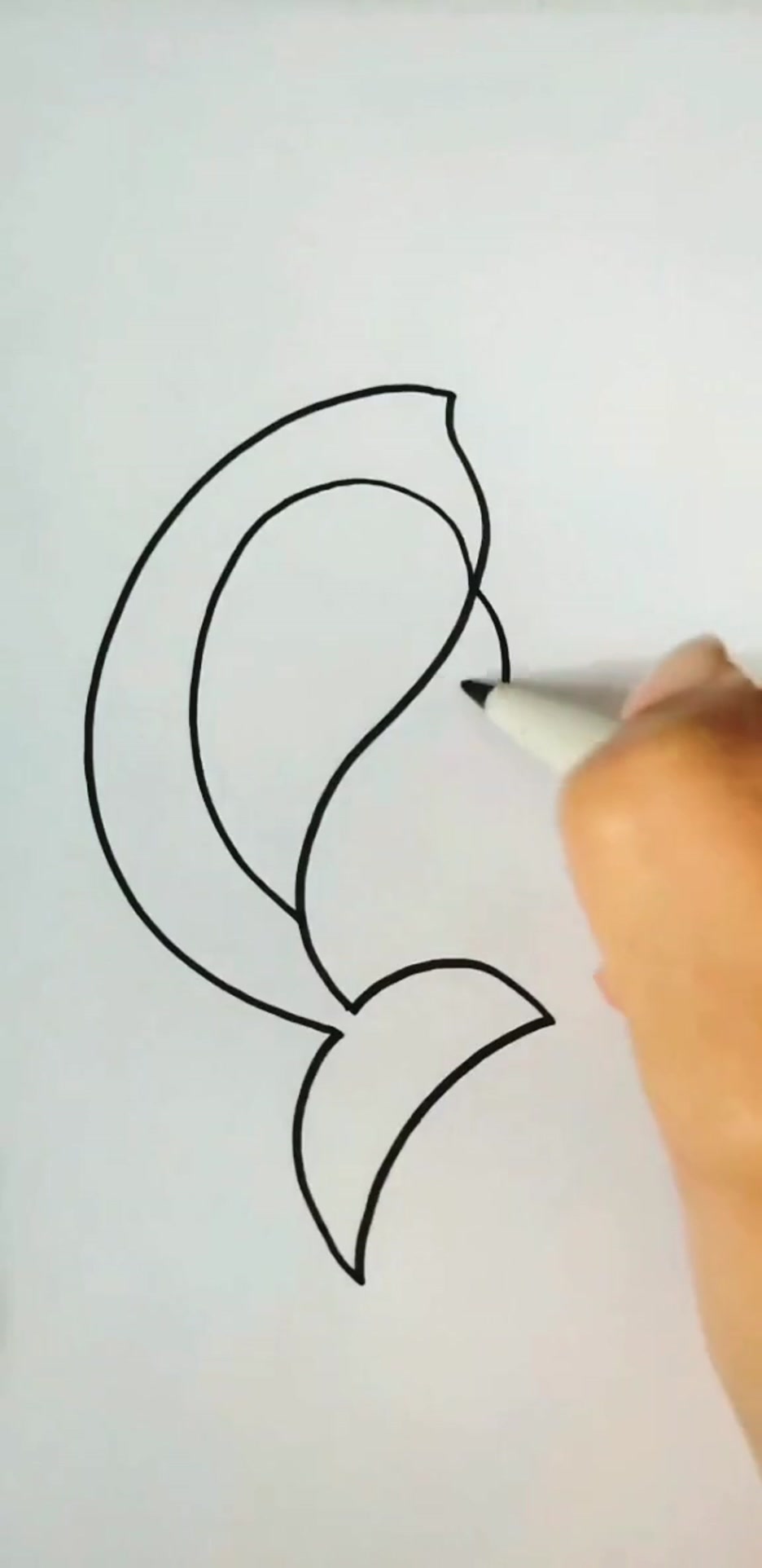 幼儿园简笔画鲨鱼,字母画,用C画鲨鱼