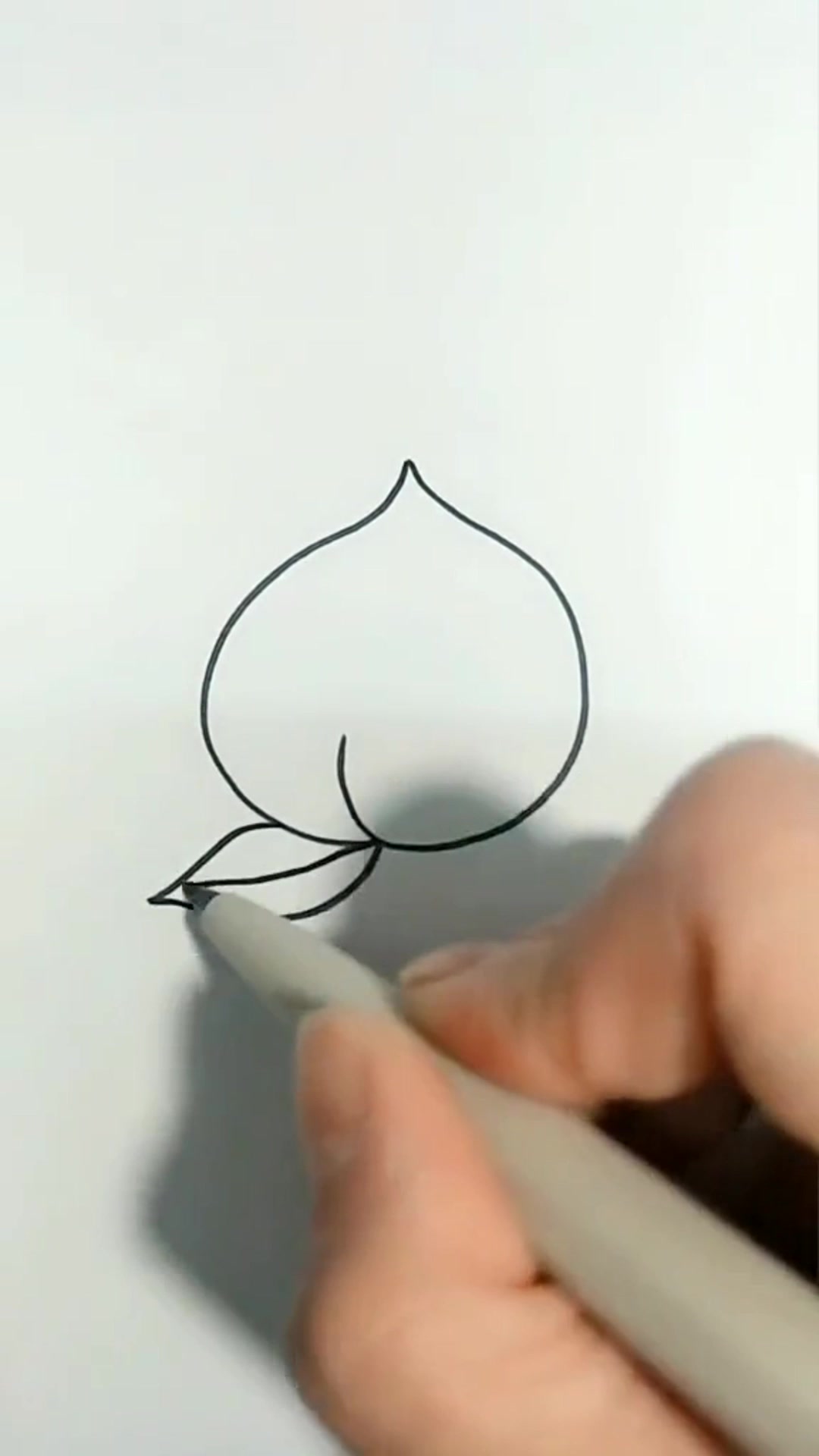 幼儿园简笔画桃子