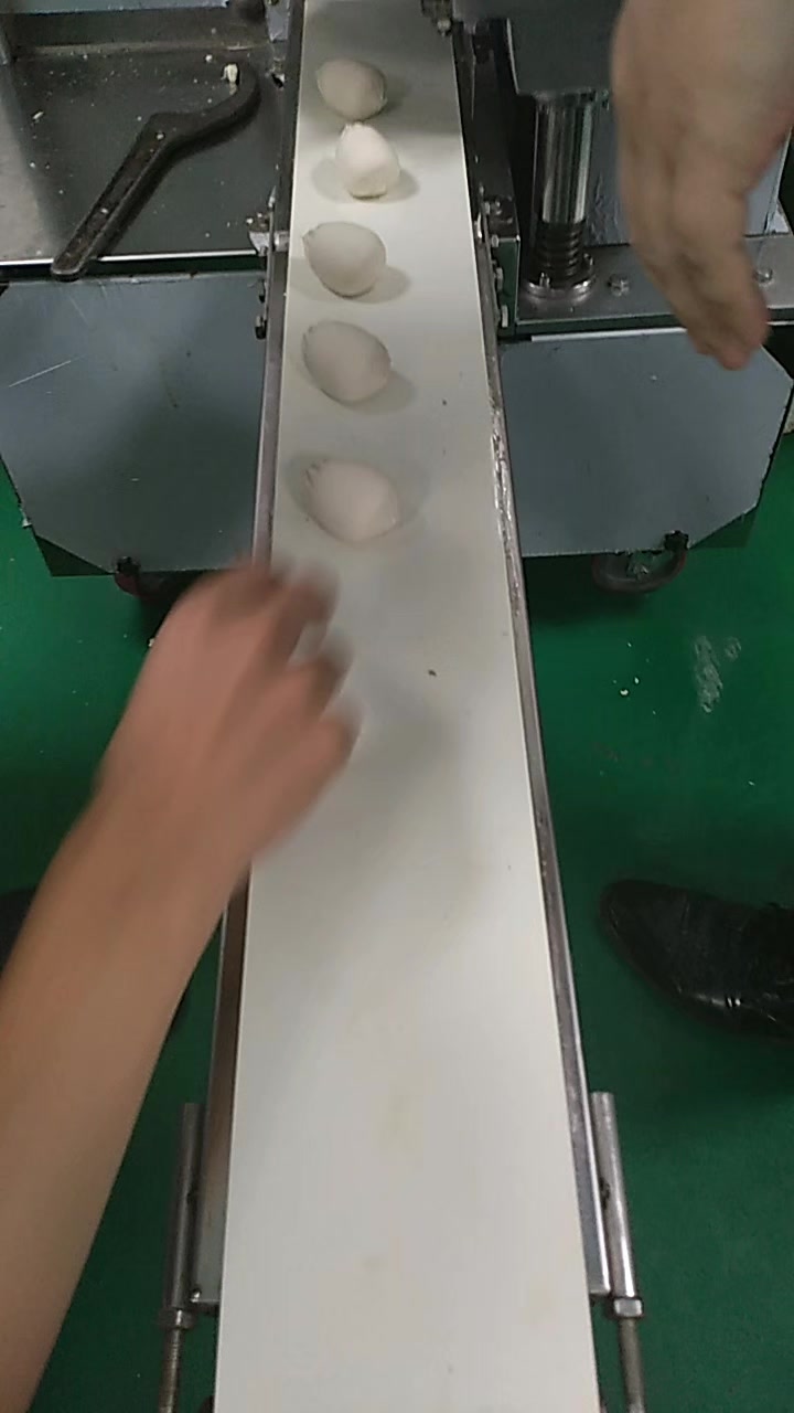 多功能包子机做生煎包视频