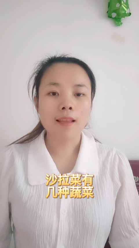 沙拉菜有几种蔬菜