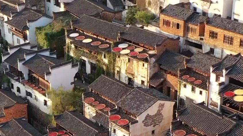 【江西婺源晒秋用五谷拼出袁隆平画像[心]】秋分时节,江西婺源篁岭景区,五谷丰登,瓜果飘香。