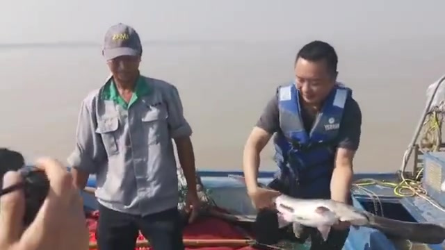 【钱塘江今早发现宝了!是鱼却长了鸭子嘴,这条“怪鱼”你认识吗?】钱塘江里发现宝了。今天清晨