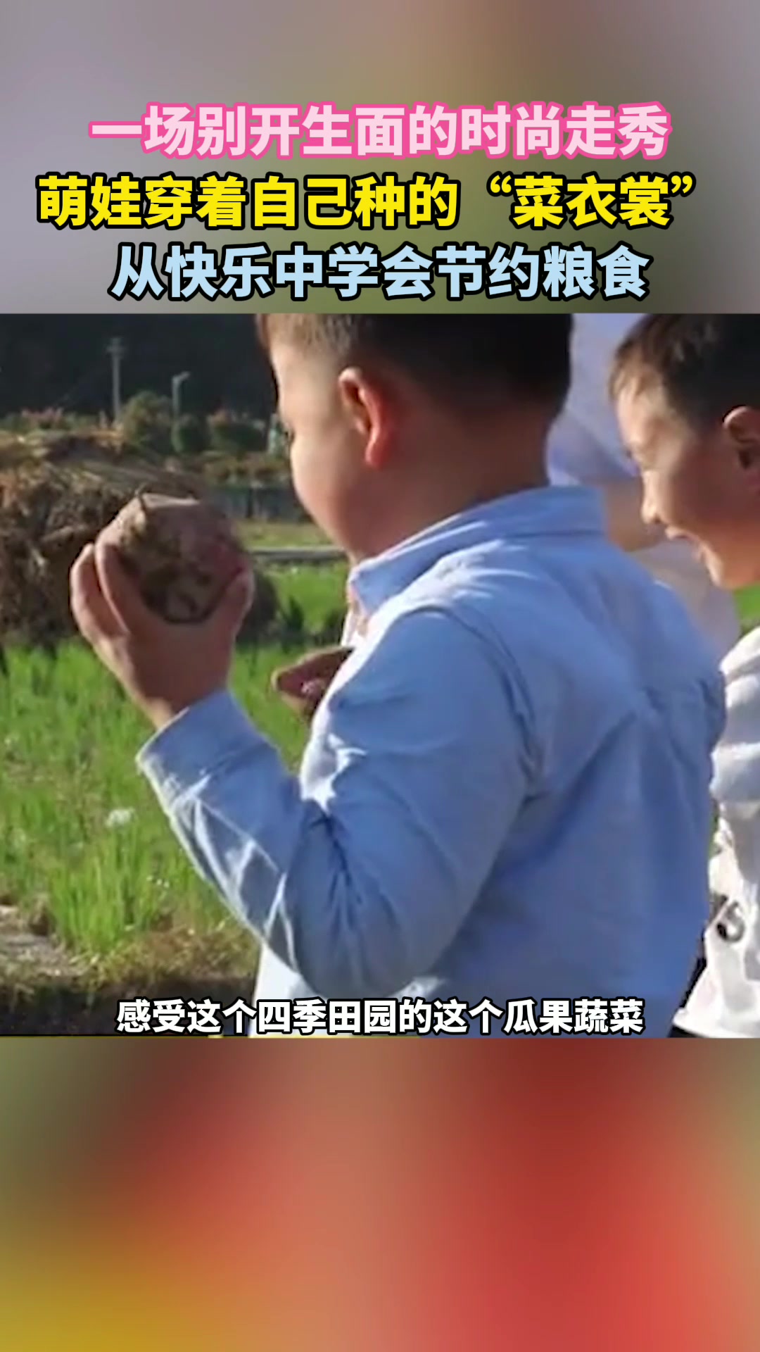 寓教于乐!幼儿园带领萌娃们自己种蔬菜做成时尚“菜衣裳”