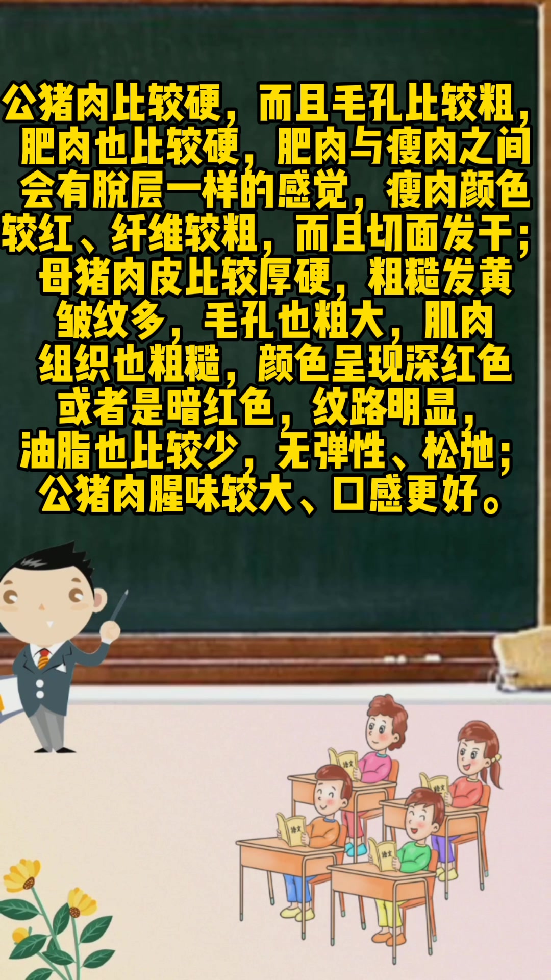 公猪肉和母猪肉的区别