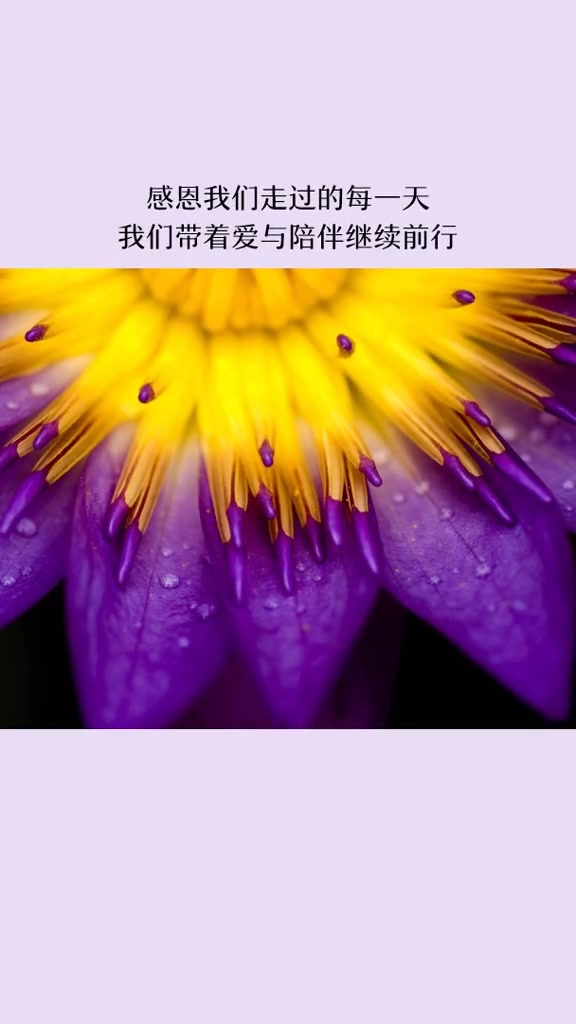 —家人幸福快乐的短语 