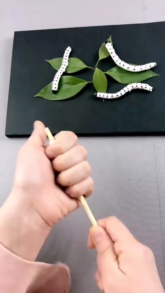 遇水会动的蚕宝宝,赶快跟孩子互动起来吧!