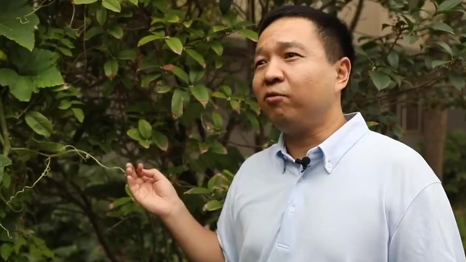 【硬核课堂!生物老师上课用小龙虾教学】生物老师上课教学生解剖小龙虾 从教11年的刘华全是郑