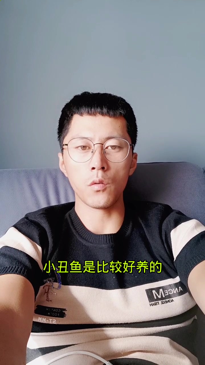 小丑鱼好养吗?我来告诉大家